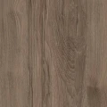 Кария пальмира