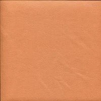 Terra effect302