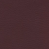 dollaro502